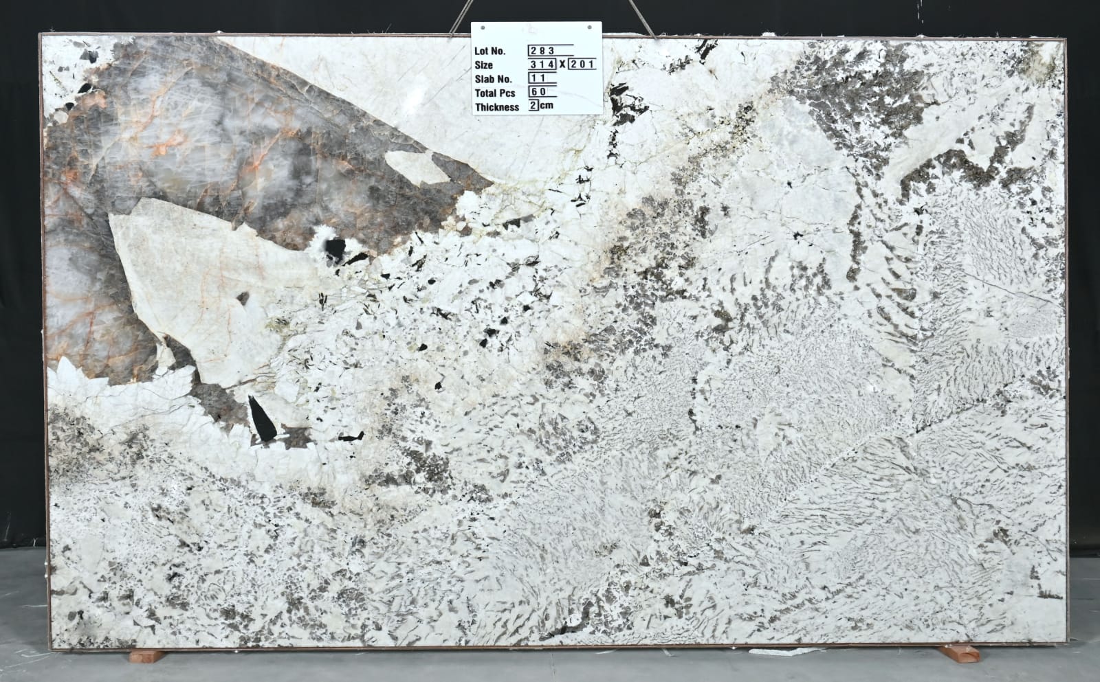 Beige Patagonia 283